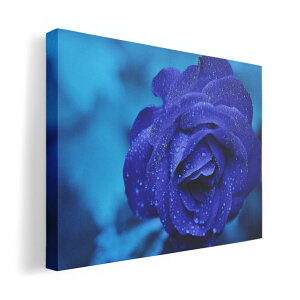 �A�[�g�p�l�� �G �G�� ���� �I�ׂ�T�C�Y 420×297 mm A3 ���_�� ���� �ʐ^ �t�H�g �C���e���A ������� 023736 �ԁ@�t�����[�@�o��