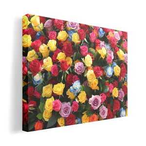 A[gpl G G  IׂTCY 420×297 mm A3 _  ʐ^ tHg CeA  023740 ԁ@t[@o@Jt