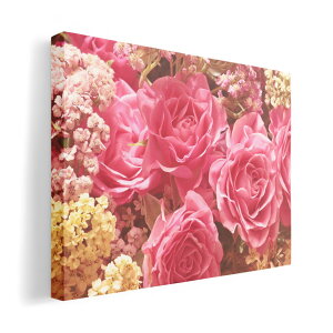 A[gpl G G  IׂTCY 420×297 mm A3 _  ʐ^ tHg CeA  023747 ԁ@t[