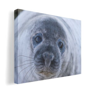 A[gpl G G  IׂTCY 420×297 mm A3 _  ʐ^ tHg CeA  023781 炵@