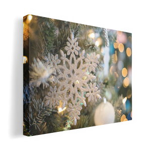 A[gpl G G  IׂTCY 420×297 mm A3 _  ʐ^ tHg CeA  023812 NX}X@c[