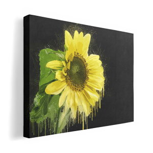 A[gpl G G  IׂTCY 420×297 mm A3 _  ʐ^ tHg CeA  023851 ԁ@t[@Ђ܂