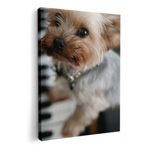 A[gpl G G  IׂTCY 420×297 mm A3 _  ʐ^ tHg CeA  004565 @ʐ^@sAm