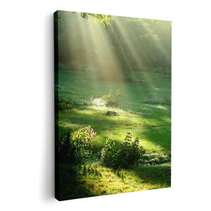 A[gpl G G  IׂTCY 420×297 mm A3 _  ʐ^ tHg CeA  004644 X@ʐ^@iF