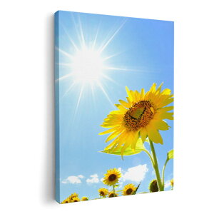 A[gpl G G  IׂTCY 420×297 mm A3 _  ʐ^ tHg CeA  005089 Ђ܂@ʐ^@z