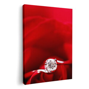 A[gpl G G  IׂTCY 420×297 mm A3 _  ʐ^ tHg CeA  005136 ԁ@wց@KN