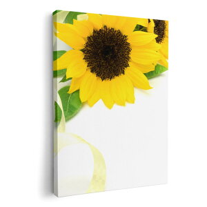 A[gpl G G  IׂTCY 420×297 mm A3 _  ʐ^ tHg CeA  005164 Ђ܂@ʐ^@Vv