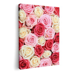 A[gpl G G  IׂTCY 420×297 mm A3 _  ʐ^ tHg CeA  005272 KN@sN@@