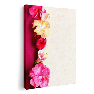 A[gpl G G  IׂTCY 420×297 mm A3 _  ʐ^ tHg CeA  005324 ԁ@nCrXJX@sN