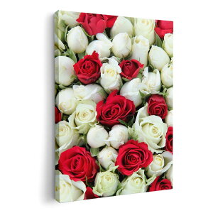 A[gpl G G  IׂTCY 420×297 mm A3 _  ʐ^ tHg CeA  005352 ԁ@@t[@