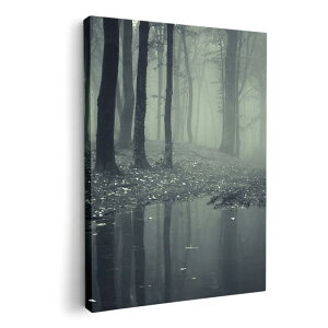 A[gpl G G  IׂTCY 420×297 mm A3 _  ʐ^ tHg CeA  005900 ʐ^@X@