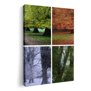 A[gpl G G  IׂTCY 420×297 mm A3 _  ʐ^ tHg CeA  005921 ʐ^@i