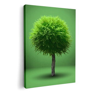 A[gpl G G  IׂTCY 420×297 mm A3 _  ʐ^ tHg CeA  006285 A@΁@O[