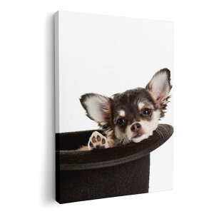 A[gpl G G  IׂTCY 420×297 mm A3 _  ʐ^ tHg CeA  006481 ʐ^@@