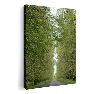 A[gpl G G  IׂTCY 420×297 mm A3 _  ʐ^ tHg CeA  006601 ʐ^@X@A