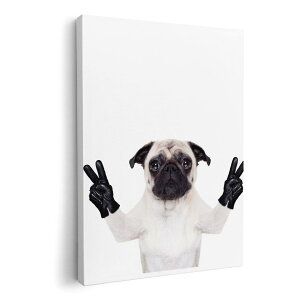 A[gpl G G  IׂTCY 420×297 mm A3 _  ʐ^ tHg CeA  006895 @@ʐ^