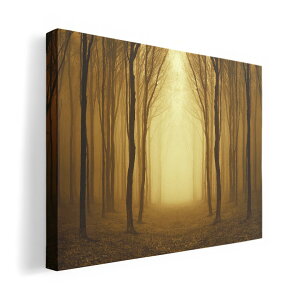 A[gpl G G  IׂTCY 420×297 mm A3 _  ʐ^ tHg CeA  007665 ʐ^@؁@A@X