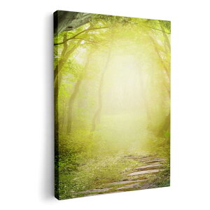 A[gpl G G  IׂTCY 420×297 mm A3 _  ʐ^ tHg CeA  007948 X@i@CXg@΁@O[@A