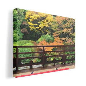 A[gpl G G  IׂTCY 420×297 mm A3 _  ʐ^ tHg CeA  008066 ʐ^@a@@H@gt