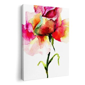 A[gpl G G  IׂTCY 420×297 mm A3 _  ʐ^ tHg CeA  008097 ԁ@t[@ʁ@ԁ@sN