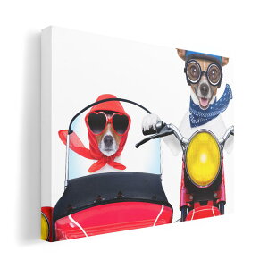 A[gpl G G  IׂTCY 420×297 mm A3 _  ʐ^ tHg CeA  008126 ʐ^@@oCN@ԁ@bh