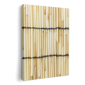 A[gpl G G  IׂTCY 420×297 mm A3 _  ʐ^ tHg CeA  008341 ʐ^@@͗l