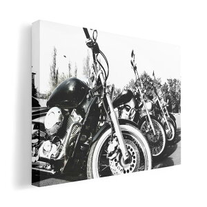 A[gpl G G  IׂTCY 420×297 mm A3 _  ʐ^ tHg CeA  008687 ʐ^@oCN@mN@