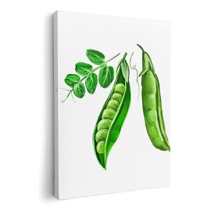 アートパネル 絵 絵画 飾り 選べるサイズ 420×297 mm A3 モダン 玄関 写真 フォト インテリア おしゃれ 008858 イラスト 枝豆 グリーン 緑