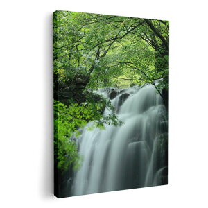 A[gpl G G  IׂTCY 420×297 mm A3 _  ʐ^ tHg CeA  008874 ʐ^@@X