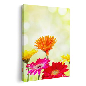 A[gpl G G  IׂTCY 420×297 mm A3 _  ʐ^ tHg CeA  008881 Jt@ʐ^@ԁ@t[