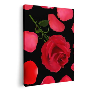 A[gpl G G  IׂTCY 420×297 mm A3 _  ʐ^ tHg CeA  008906 t[@ԁ@KN@ԁ@bh