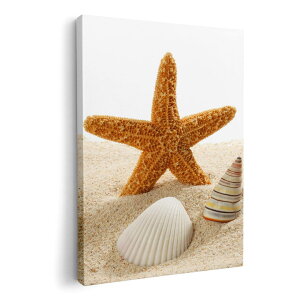 A[gpl G G  IׂTCY 420×297 mm A3 _  ʐ^ tHg CeA  009536 Lk@C@ʐ^