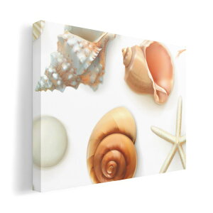 A[gpl G G  IׂTCY 420×297 mm A3 _  ʐ^ tHg CeA  009662 Lk@C@l