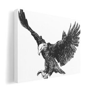 A[gpl G G  IׂTCY 420×297 mm A3 _  ʐ^ tHg CeA  009728 @a@a