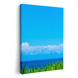 A[gpl G G  IׂTCY 420×297 mm A3 _  ʐ^ tHg CeA  009748 i@@C@ʐ^