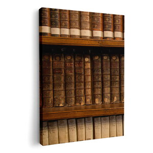 A[gpl G G  IׂTCY 420×297 mm A3 _  ʐ^ tHg CeA  010025 {I@g@ʐ^