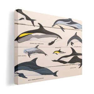 アートパネル 絵 絵画 飾り 選べるサイズ 420×297 mm A3 モダン 玄関 写真 フォト インテリア おしゃれ 010935 海 イルカ 生き物