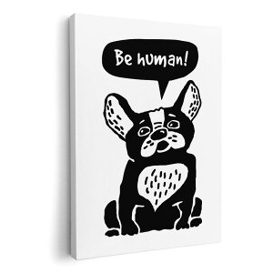 A[gpl G G  IׂTCY 420×297 mm A3 _  ʐ^ tHg CeA  010972 @LN^[@p