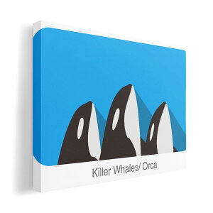 A[gpl G G  IׂTCY 420×297 mm A3 _  ʐ^ tHg CeA  010994 CJ@C@