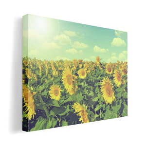 A[gpl G G  IׂTCY 420×297 mm A3 _  ʐ^ tHg CeA  011053 ԁ@Ђ܂@