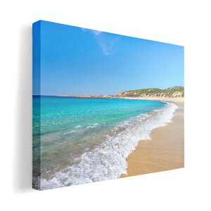 A[gpl G G  IׂTCY 420×297 mm A3 _  ʐ^ tHg CeA  011087 C@r[`@ʐ^