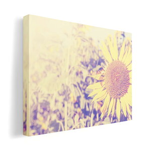 A[gpl G G  IׂTCY 420×297 mm A3 _  ʐ^ tHg CeA  011309 ԁ@Ђ܂@ʐ^