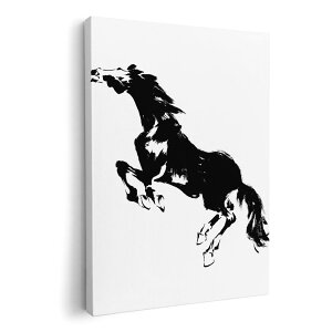 A[gpl G G  IׂTCY 420×297 mm A3 _  ʐ^ tHg CeA  011898 n@VGbg@mg[