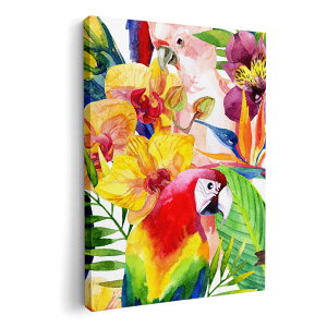 A[gpl G G  IׂTCY 420×297 mm A3 _  ʐ^ tHg CeA  012543 @Jt@썑