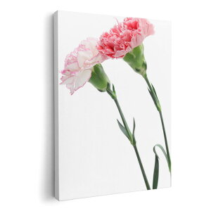 A[gpl G G  IׂTCY 420×297 mm A3 _  ʐ^ tHg CeA  012938 ̓@J[l[V@