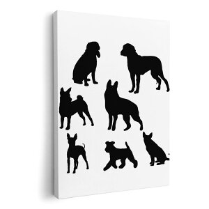 A[gpl G G  IׂTCY 420×297 mm A3 _  ʐ^ tHg CeA  013551 @e@VGbg