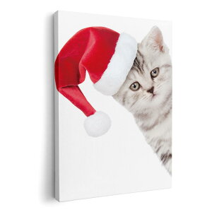 A[gpl G G  IׂTCY 420×297 mm A3 _  ʐ^ tHg CeA  013836 NX}X@L@