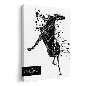 A[gpl G G  IׂTCY 420×297 mm A3 _  ʐ^ tHg CeA  014073 n@@Aj}