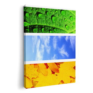 A[gpl G G  IׂTCY 420×297 mm A3 _  ʐ^ tHg CeA  014084 ā@Ђ܂@