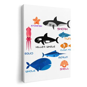 A[gpl G G  IׂTCY 420×297 mm A3 _  ʐ^ tHg CeA  014505 C@@Lk